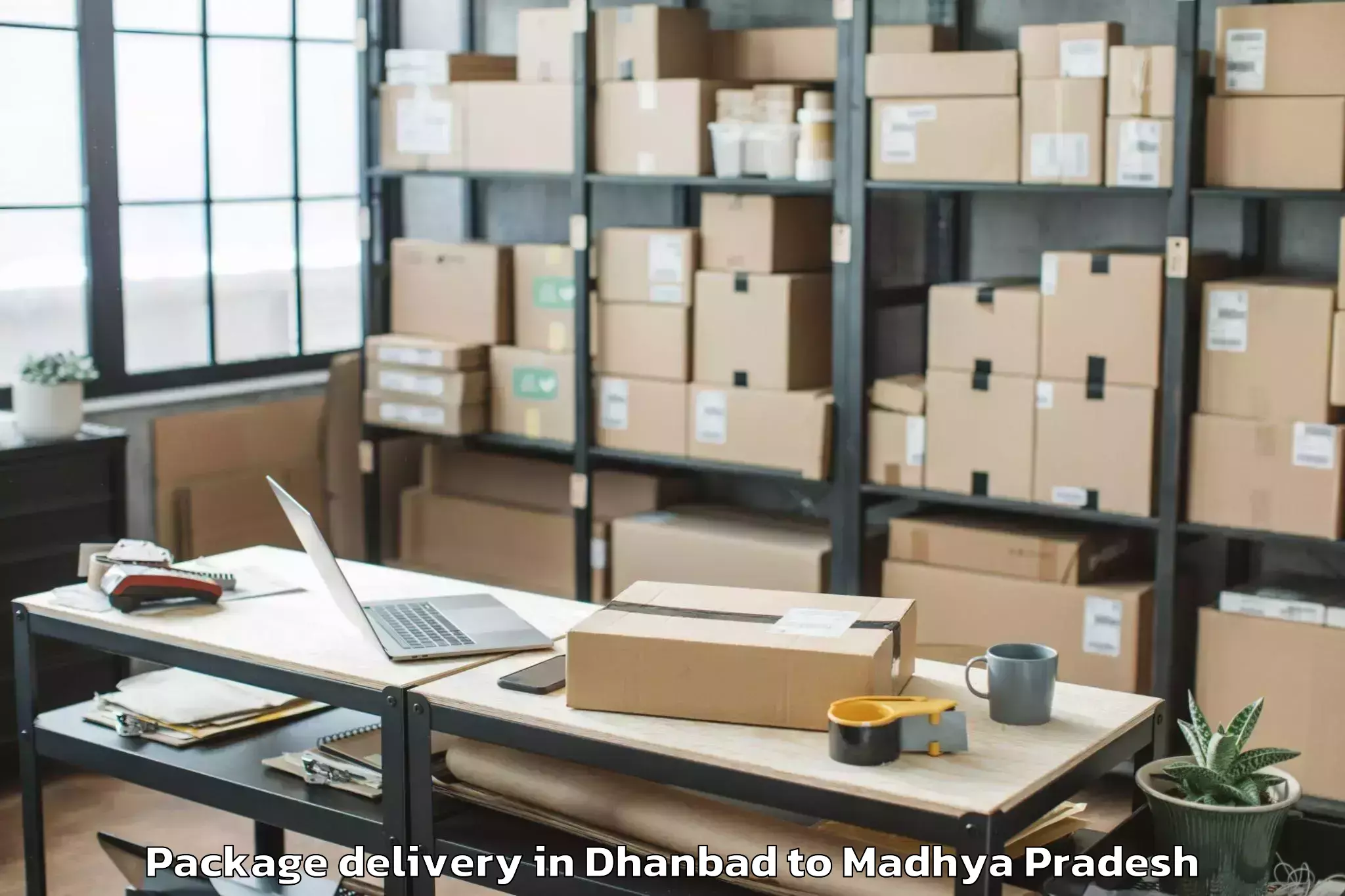 Trusted Dhanbad to Budhni Package Delivery